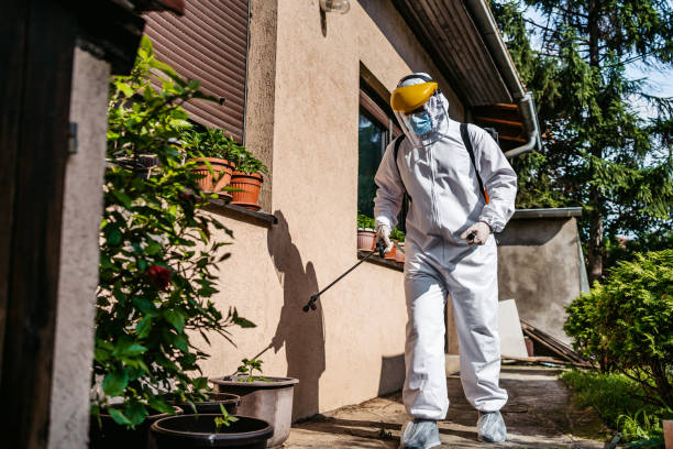 Best Local Pest Control Services  in South Congaree, SC