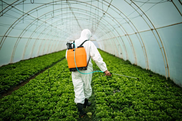 Best Commercial Pest Control Services  in South Congaree, SC