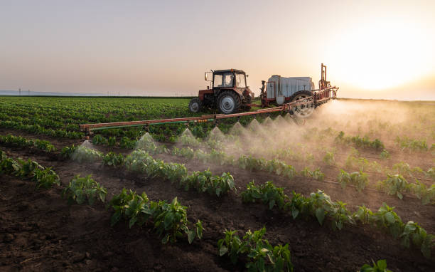 Professional Pest Control in South Congaree, SC