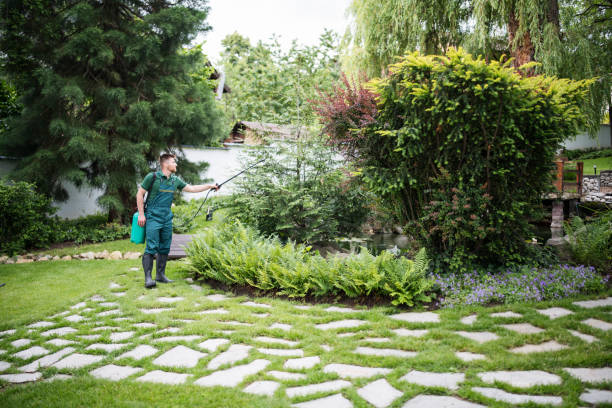 Best Pest Removal Services  in South Congaree, SC