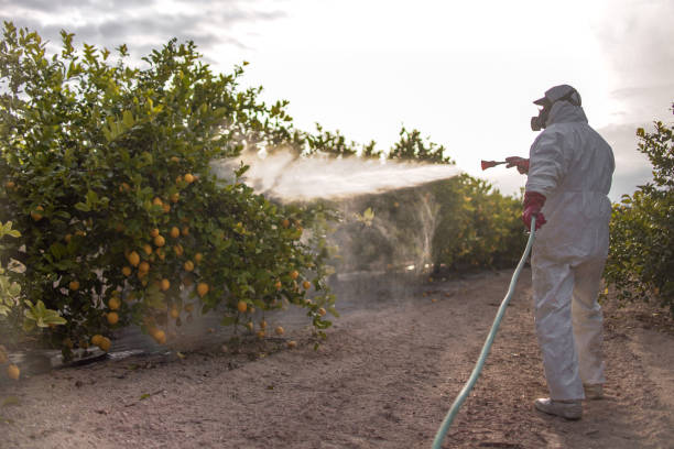 Best Local Pest Control Services  in South Congaree, SC