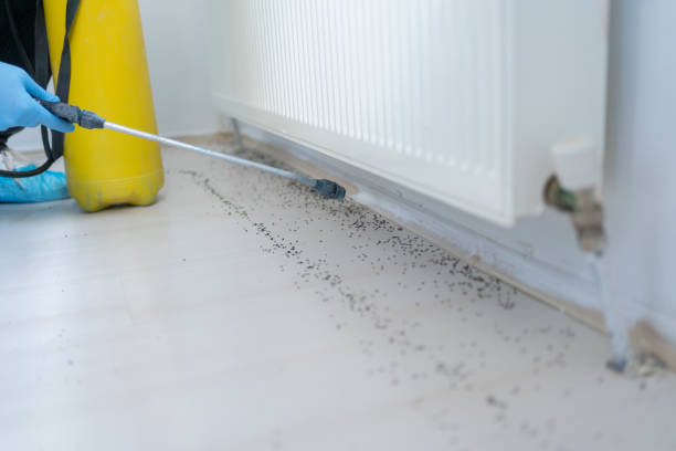 Best Affordable Pest Control Services  in South Congaree, SC